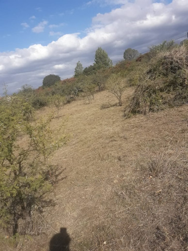 Imagen 4 de 11 de Lote 1500 M2 Tierra El Sauce Villa General Belgrano - Córdoba