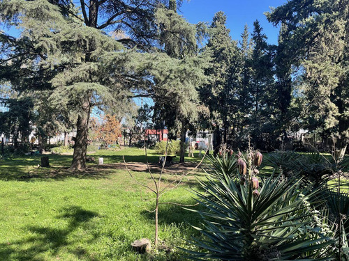 Imagen 20 de 30 de Venta Quinta Sobre 11.000 M2 Ideal Instituciones / Clubes - Trujui - Moreno