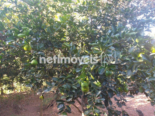Imagem 22 de 25 de Venda Chácara Zona Rural São Sebastião - 807249