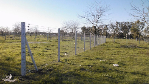 Postes Recto De Hormigon  Alambrados  Cercos Perimetral Puas