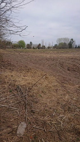 Terreno En Venta - 14650mts2 - Chivilcoy