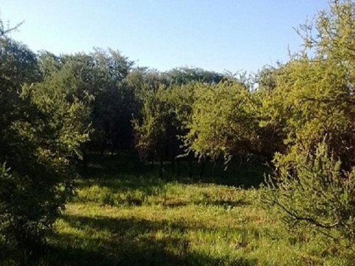 Imagen 3 de 4 de Terreno En Venta Mendiolaza Golf