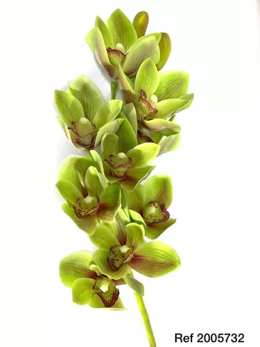 Orquídea Cymbidium Verde - 10 Pétalas Artificial