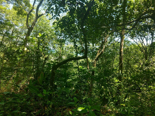 Imagem 9 de 15 de Fazenda, Para Venda Em Ilhéus/ba - Fa01