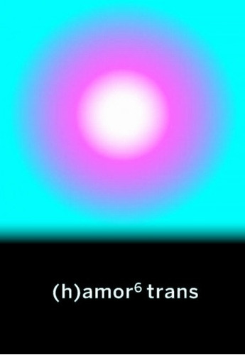 (h) Amor 6 Trans - Varios Autores