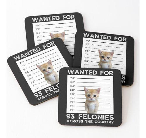 Set Posavasos Copia De El Gato Wanted Poster Bounty Meme Sad