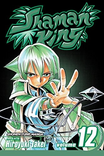 Shaman King, Vol 12 (v 12)