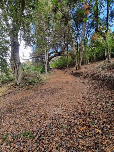 Imagen 12 de 24 de Terreno Lote En Venta Ubicado En Valle Escondido, Bariloche, Patagonia