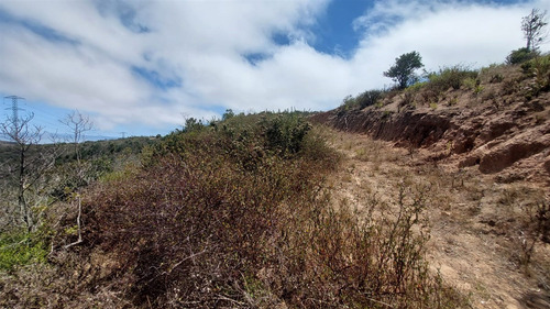 Se Vende Parcela De Agrado De 10.082m2 Pichicuy-huaquen Alto