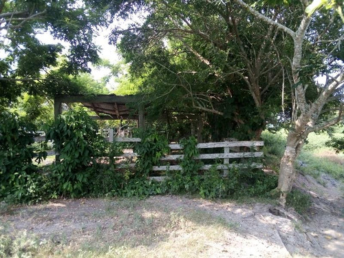Venta Rancho Ganadero 100 Hectáreas Tamiahua Veracruz