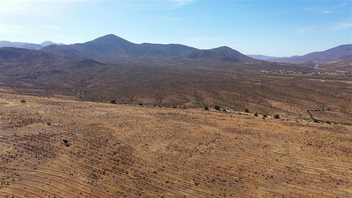 Venta Terreno De 11 Ha En Higueritas Unidas, Ovalle