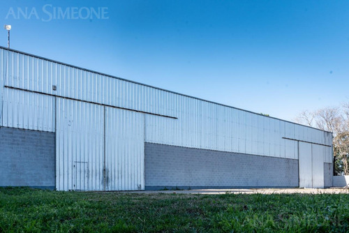 Nave Industrial - Venta Y Alquiler - Chivilcoy