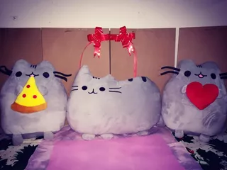 Peluche Pusheen