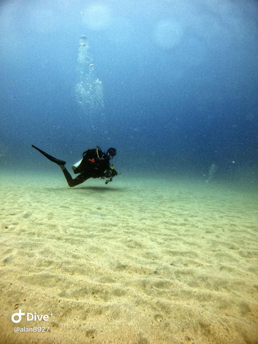 Clases De Buceo En El Sureste(tabasco)