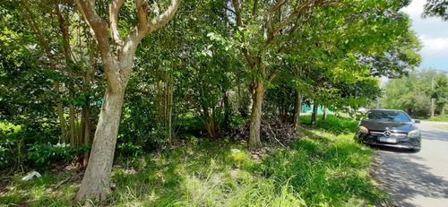 Imagen 3 de 3 de Lote En Venta En Barrio De Vicenzo