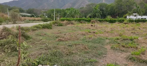 Lote En Venta En Venecia. Cod V12513