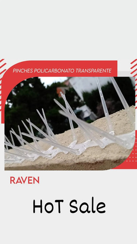 16 Puas Pinches =8 Mts Raven Antipose Paloma Ave Loro Plaga