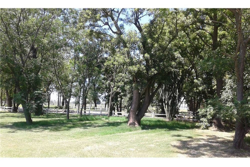 Imagen 26 de 30 de Campiñas De Piñero - Lote De 426 M2 - Oportunidad!