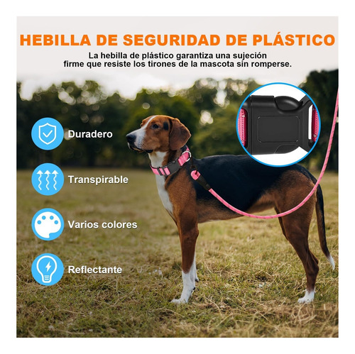 Collar De Perro Reflectante Collar Perro Nailon Ajustable