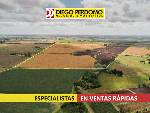 Campo Agícola De 83ha En Venta, Próximo A Libertad