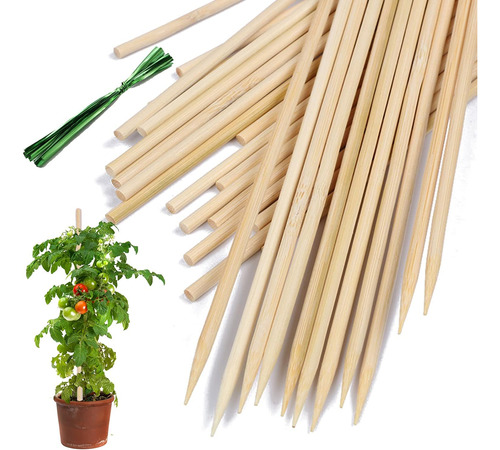 Estacas Para Plantas De Bambú, Soportes De Madera Para Plant