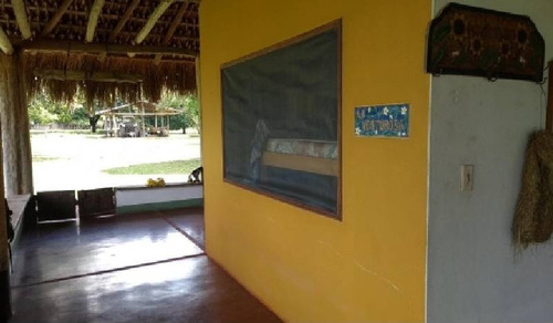 Imagen 9 de 30 de Vendo Hacienda De 990 Hectáreas En Puerto Gaitán En El Meta
