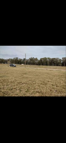 Terreno En Venta En Domselaar. Oportunidad