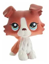 Comprar Northern Lights Press Pet Shop Shop Shop 2sr3m