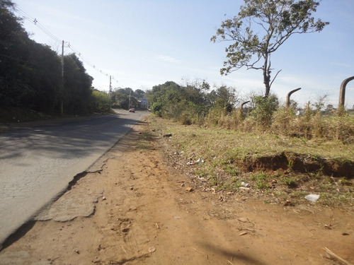 Imagem 2 de 15 de Terreno - Vila Augusta - Ref: 363827 - V-cs36005331