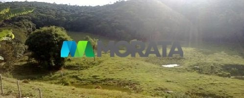 Imagem 10 de 11 de Fazenda - Zona Rural - Ref: 3276 - V-mta3276
