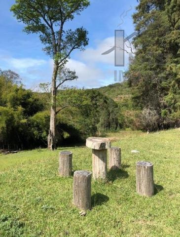 Imagem 8 de 12 de Cod - 5529 - Sitio Em Piedade - 5529