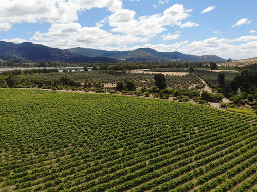 Agrícola En Venta En San Javier