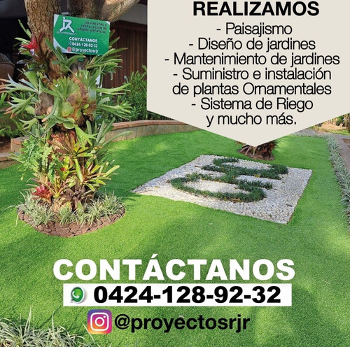 Imagen 5 de 5 de Servicio De Jardinería, Poda Y Tala De Árboles, Paisajismo