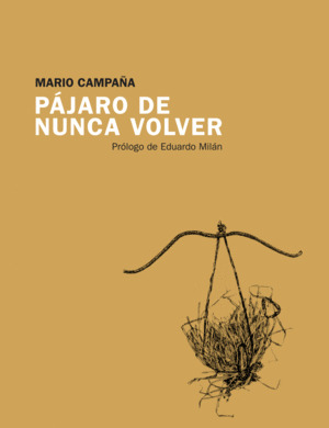 Libro Pájaro De Nunca Volver