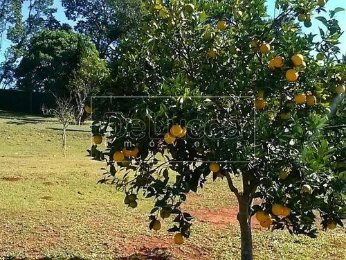 Imagem 10 de 20 de Chácara À Venda Em Residencial Moenda - Ch018584