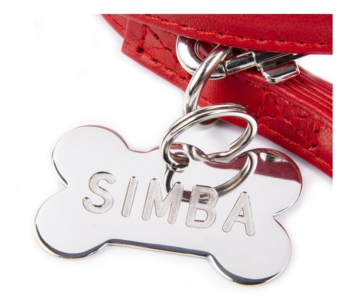 Collar Perro Con Placa De Identificación Juego Personalizado