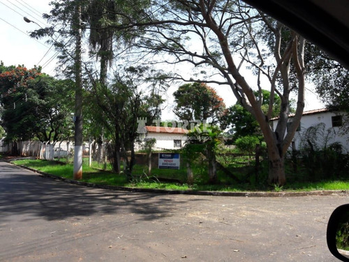 Imagem 8 de 13 de Chácara À Venda Em Balneário Tropical - Ch003332
