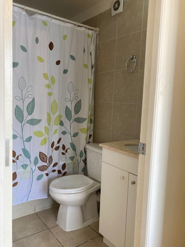 Departamento 1 Dormitorio En Suite Con Gran Terraza