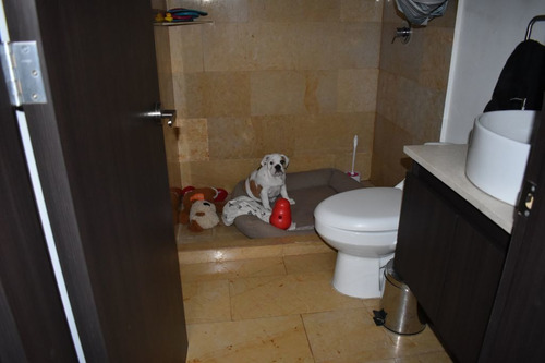 Imagen 10 de 14 de Departamento Venta Súper Ubicado, Acogedor Zona Coyoacan