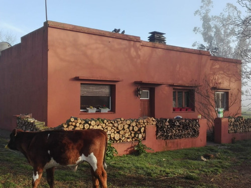 Imagen 3 de 10 de Chacra En Venta San Agustín, Balcarce