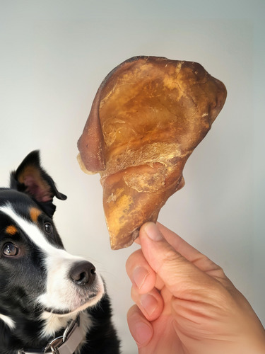 Orejas De Cerdo Snack Golosina Natural X 100 Uni