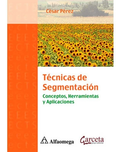 Libro Técnicas De Segmentación