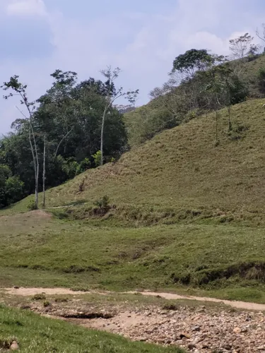 Se Vende Finca Ganadera En Doradal
