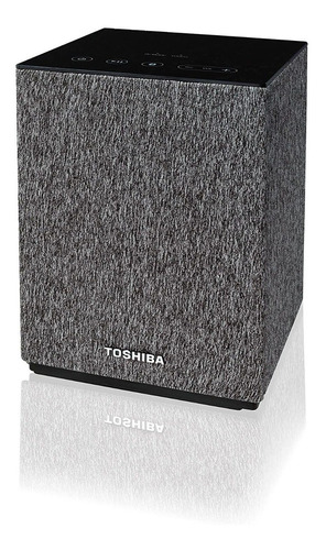 Parlante Toshiba Ty-gc1000 Bluetooth Chromecast Sonido Hd