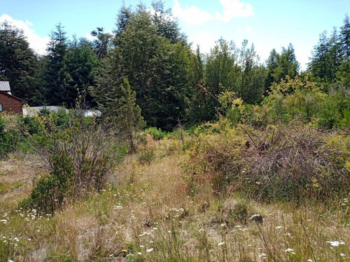 Imagen 6 de 16 de Lote / Terreno De 2.885m2 En Villa La Angostura