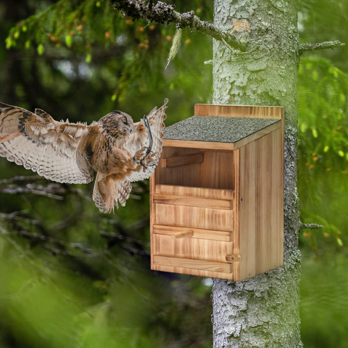 Kit De Construcción De Madera Para Casa De Pájaros Y Búho