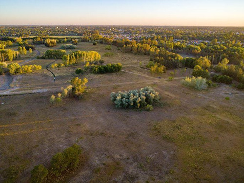 Imagen 5 de 14 de Venta Terreno Azzurra Pilar
