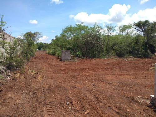 Imagen 8 de 18 de Terreno - Pueblo Cholul