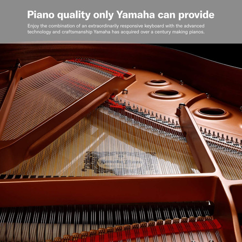 Yamaha P125 - Piano Digital De Acción Con 8 Teclas Con Fuent