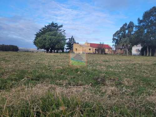 Imagen 16 de 26 de Campo De 34 Hás Con Casa Ruta 12 Pueblo Edén